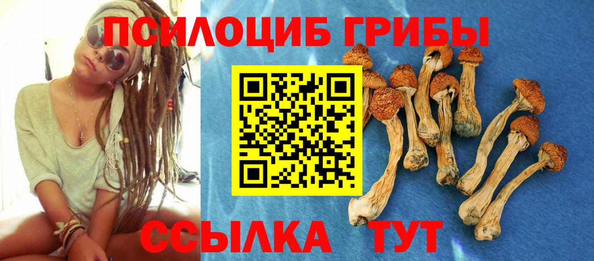 Псилоцибиновые грибы прущие грибы  Галлюциногенные грибы Psilocybe  Нарткала  Вход с VPN 